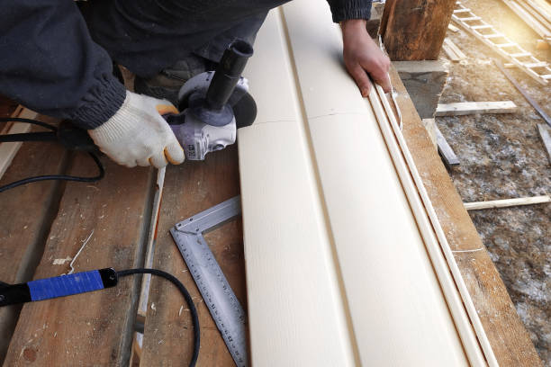 Best Custom Trim and Detailing for Siding  in Philippi, WV